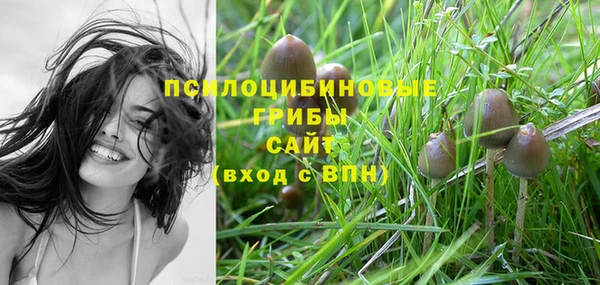 круглые Богданович