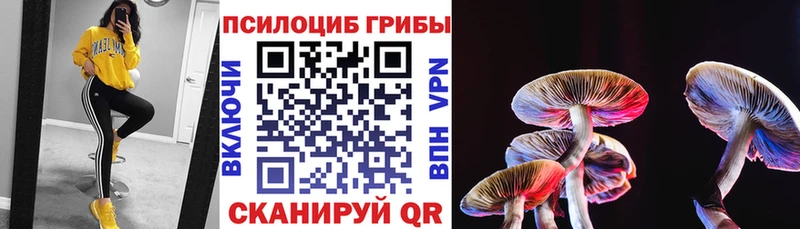 Псилоцибиновые грибы Magic Shrooms  хочу   Энем 